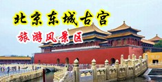 小浪骚屄中国北京-东城古宫旅游风景区